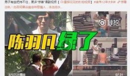 平顶山最新爆料出轨事件,真相与舆论的漩涡